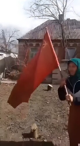 Бабушка с красным флагом (полное оригинальное видео со стенограммой).mp4_snapshot_01.02.066